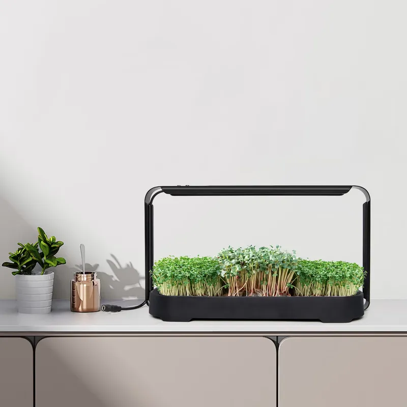 Hydroponic Kit - Sistema de Cultivo Hidropónico con Autorriego