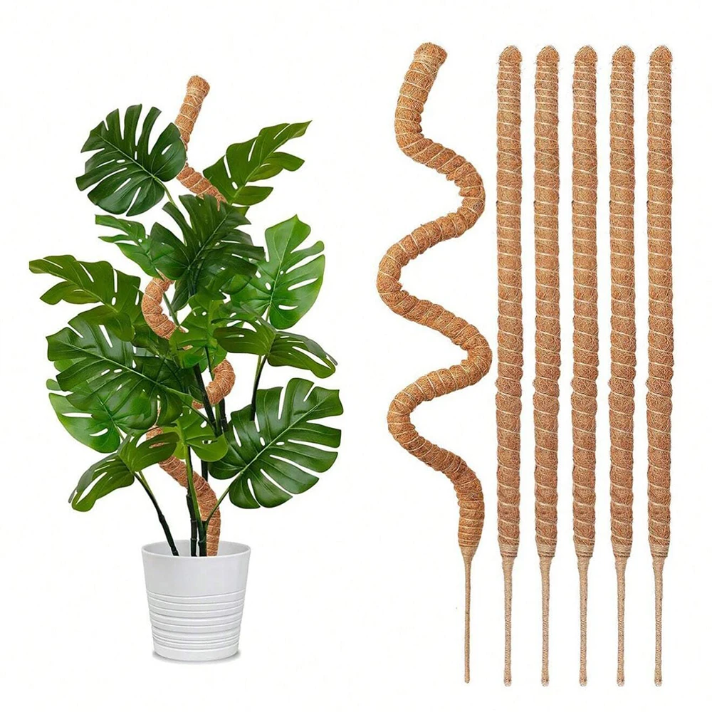 Indoor Herb Garden - Soportes de moho para plantas Monstera,