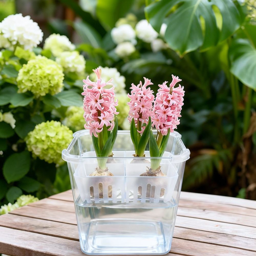 Plant Pot - Jarrón hidropónico para tulipanes y lirios,