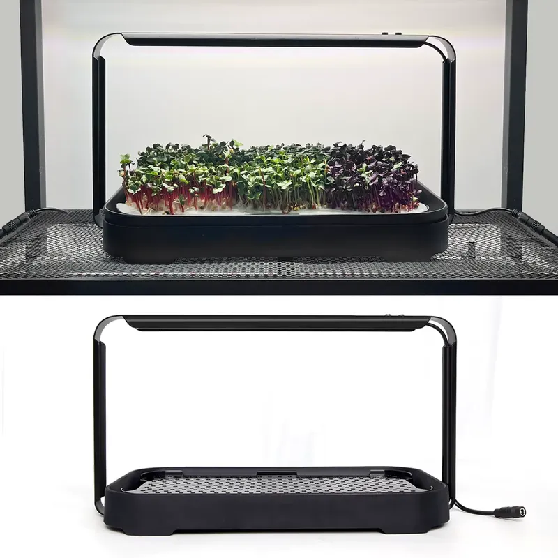 Sistema de Cultivo Hidropónico - Hydroponic Kit reseña y precio