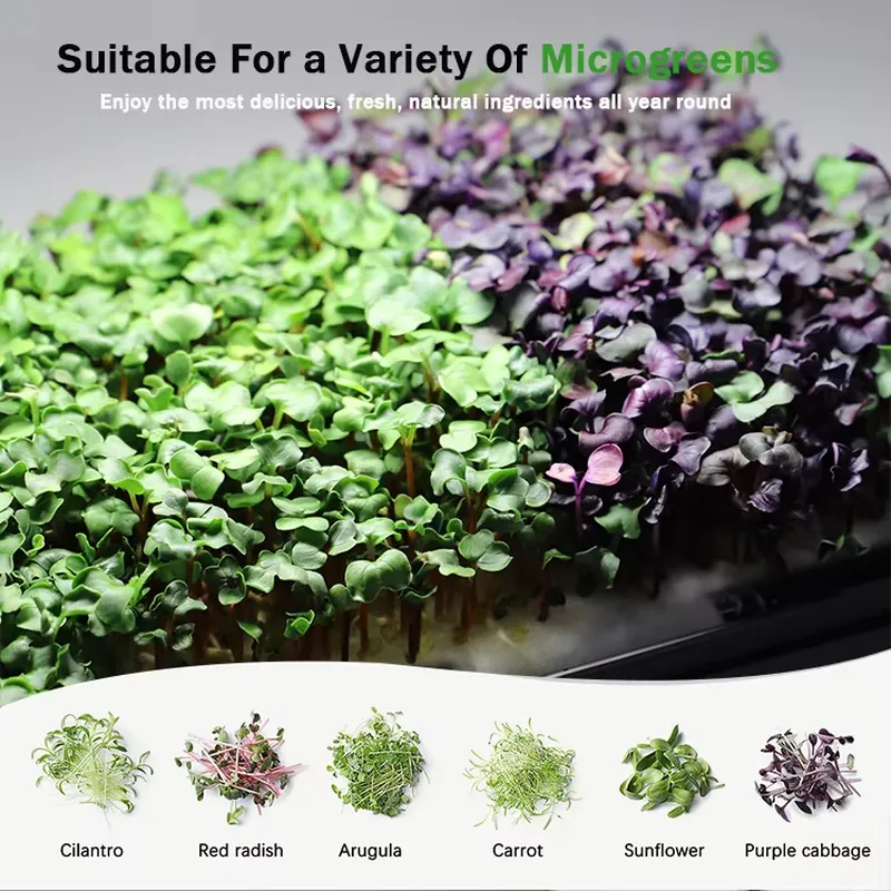 Sistema de Cultivo Hidropónico - Hydroponic Kit reseña y precio