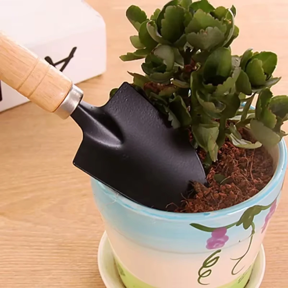 Juego de 3 herramientas de jar - Indoor Herb Garden reseña y precio