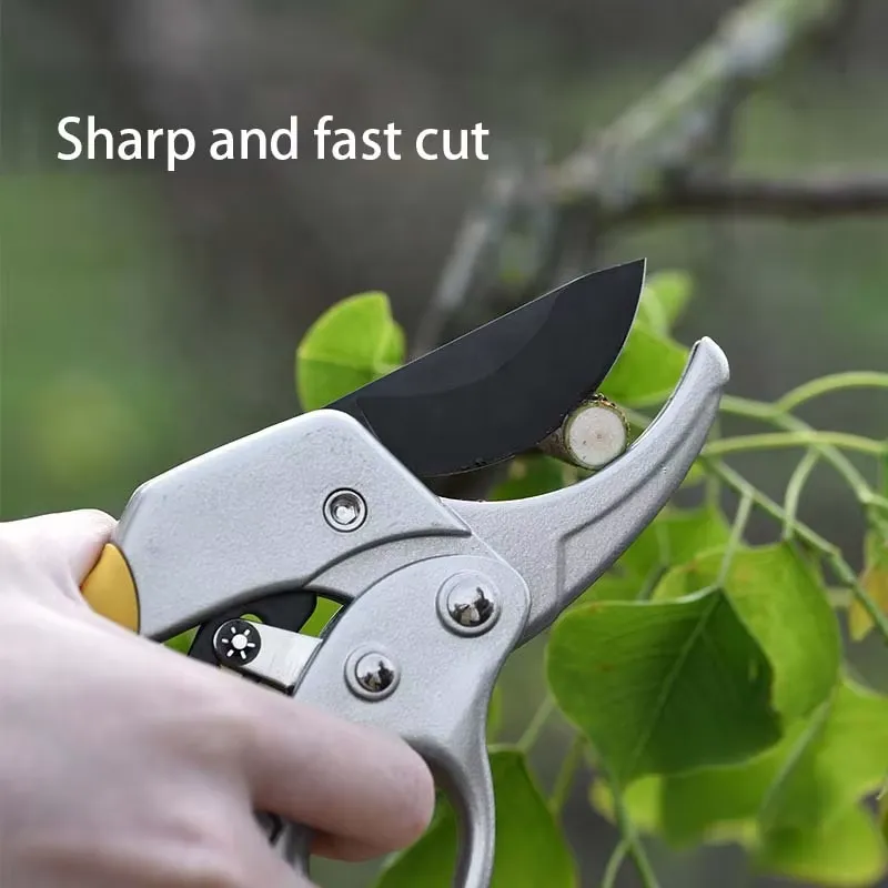 EE1 para Tijeras de Podar de A - Pruning Shears reseña y precio