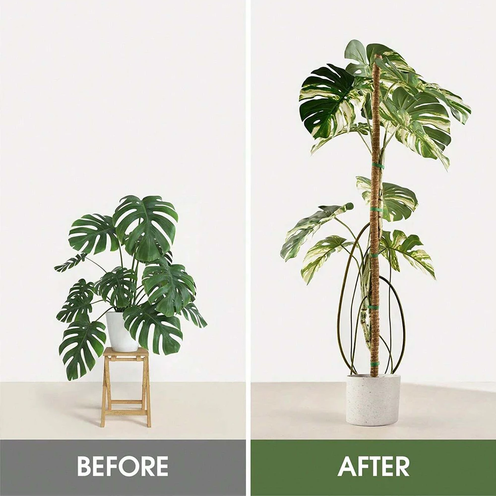 Soportes de moho para plantas  - Indoor Herb Garden reseña y precio