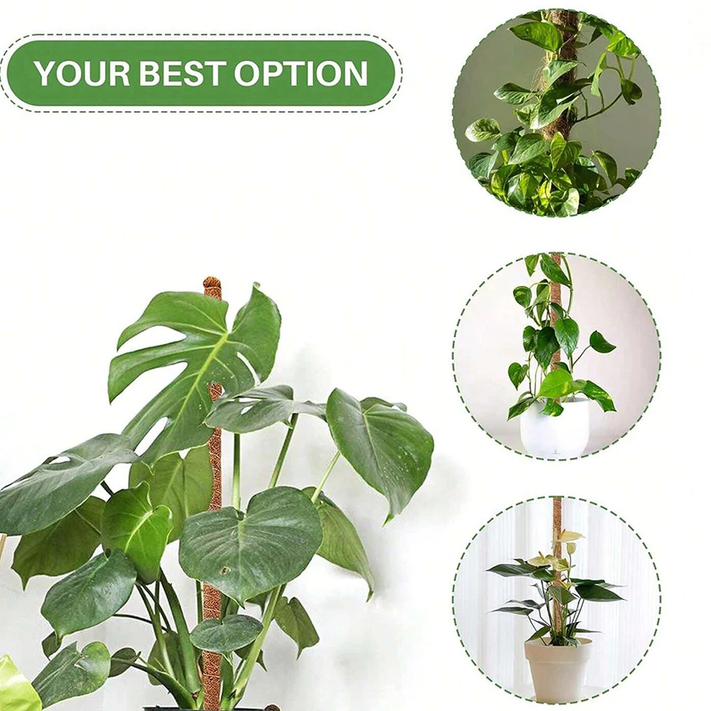 Soportes de moho para plantas  - Indoor Herb Garden reseña y precio