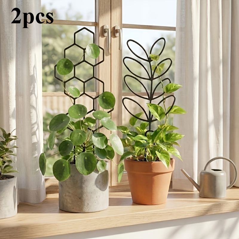 1/2 paquete de enredaderas par - Indoor Herb Garden reseña y precio