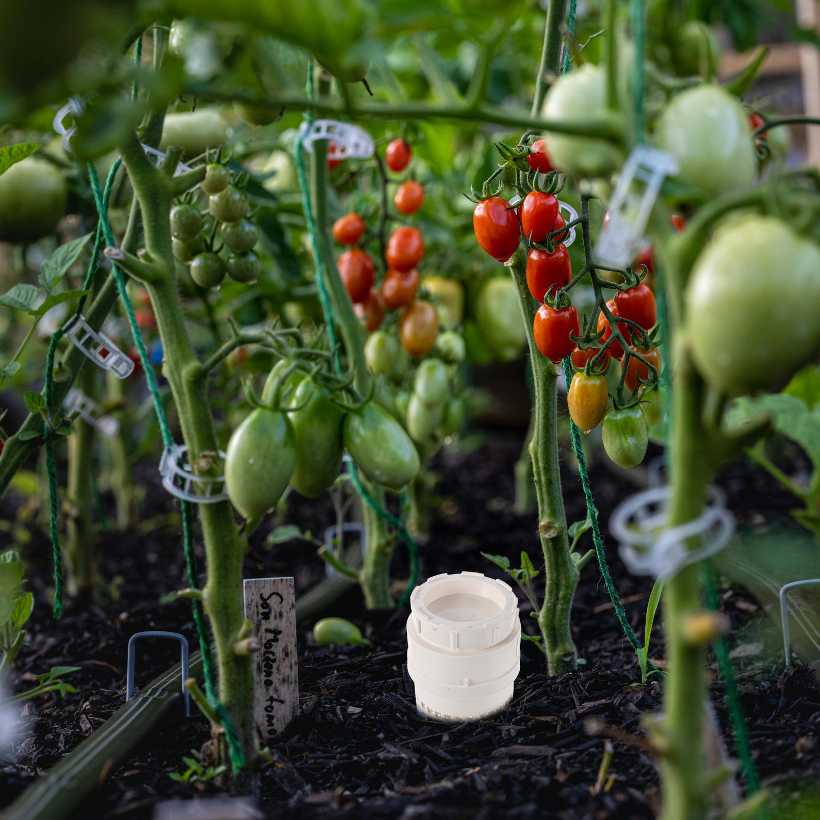 Contenedor de Compostaje de Pl - Compost Bin reseña y precio