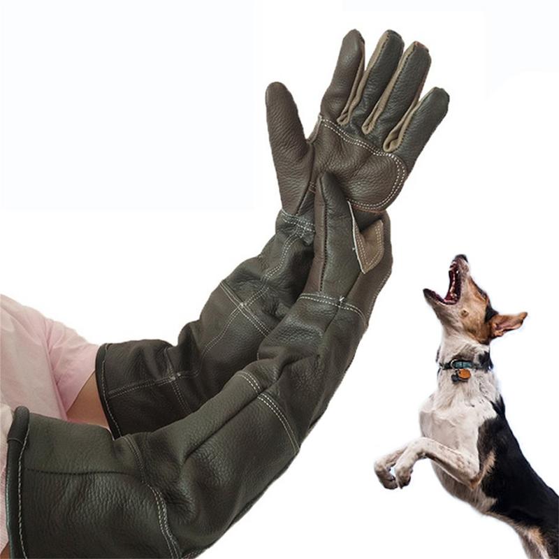 Guantes para mascotas de cuero - Garden Gloves reseña y precio