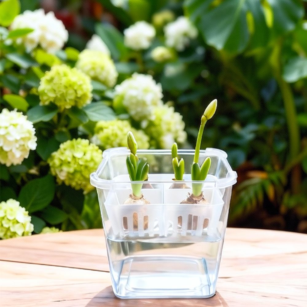 Jarrón hidropónico para tulipa - Plant Pot reseña y precio