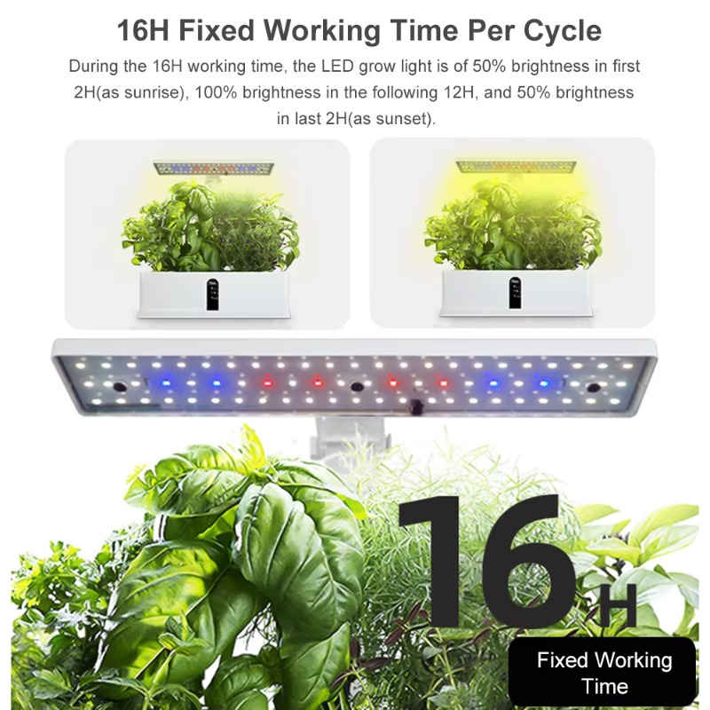 Sistema de Cultivo Hidropónico - Hydroponic Kit reseña y precio