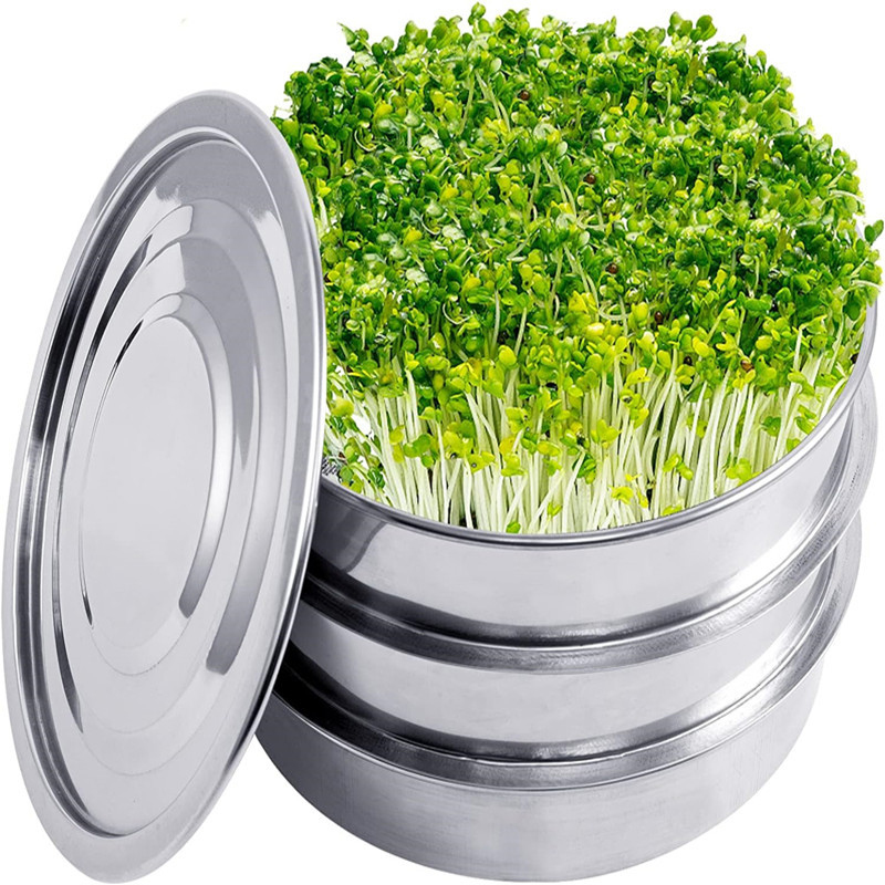 Kit de germinación de plantas  - Hydroponic Kit reseña y precio