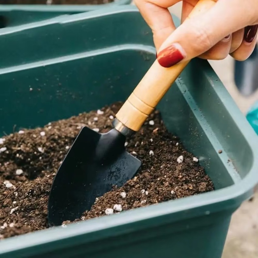 Juego de 3 herramientas de jar - Trowel Garden Tools reseña y precio